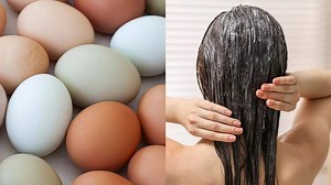 Can eggs remove dandruff naturally? The science behind egg masks for a flake-free scalp