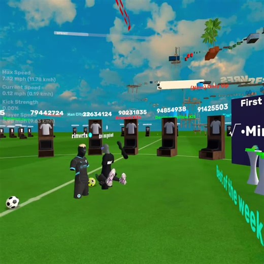 Achieving My Goal in VR Gaming