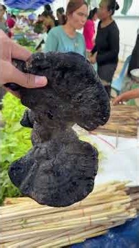 เห็ดหลินจื่อ?! มีขายที่ตลาดนัดไทย-ลาว ท่าอุเทน นครพนม #ตลาดนัดไทยลาว