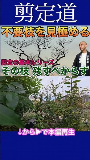 Identifying Unnecessary Branches: Basic Pruning Series #PruningMethods #Agriculture #Gardening #B...