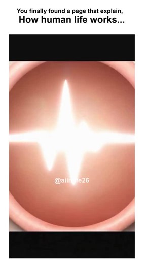 AI in Life on Instagram: "Cardiovascular and cognitive health are maintained by the constant repair of cellular damage, and specific foods provide the tools for this repair. Arteries are not just pipes; they are lined with endothelial cells that regulate blood pressure. Avocados provide monounsaturated fats and potassium, which maintain the electrical gradient of cells and keep arterial walls flexible, preventing hypertension. Blueberries are dense in flavonoids called anthocyanins; these compou