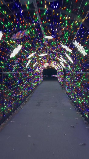 Experience the Magical Winter Wonderlights at Greensboro Science Center