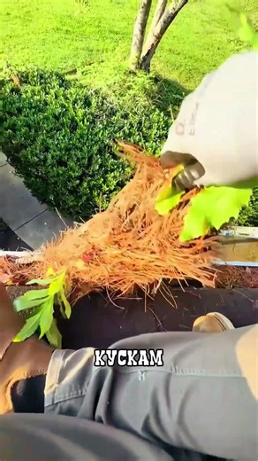 СТЫДНО назвать вслух а зарабатывает больше ИНЖЕНЕРА 🤯🍁💰