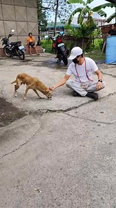 1.5M views · 51K reactions | The dog with the snout problem did not...