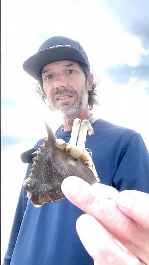 Florida Beach Fishing with Blue Crab!