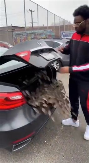 Thousands of Mice Explode From Car Trunk! 😱