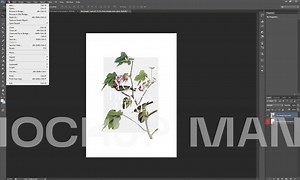 Business Card Mockups, Branding Mockups, Neutral Mockup, Card Mockup, Styled Mockup, Minimalist Card Mockup, Blank Business Card, Place Card - Etsy