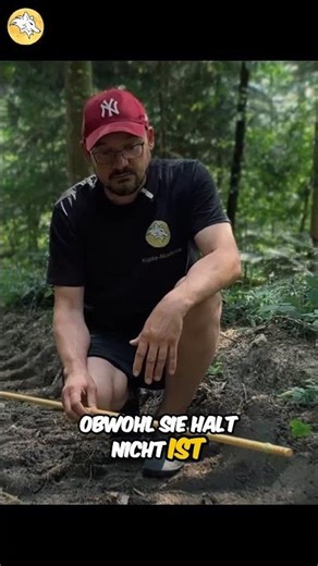 Kreative Methode, um spannende Geschichten zu finden und lesen #Kojoteakademie