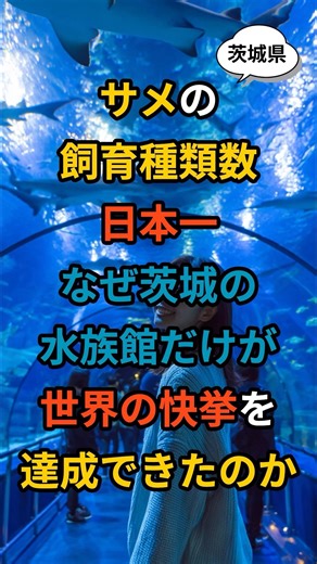 サメの飼育種類数日本一。なぜ茨城の水族館だけが世界の快挙を達成できたのか #shorts #海外の反応 #茨城県