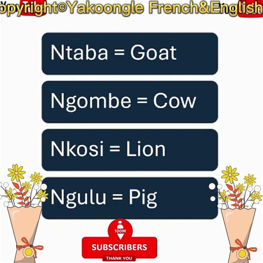 Learning Lingala Is As Easy As English #learnlingala #easylanguages #shorts