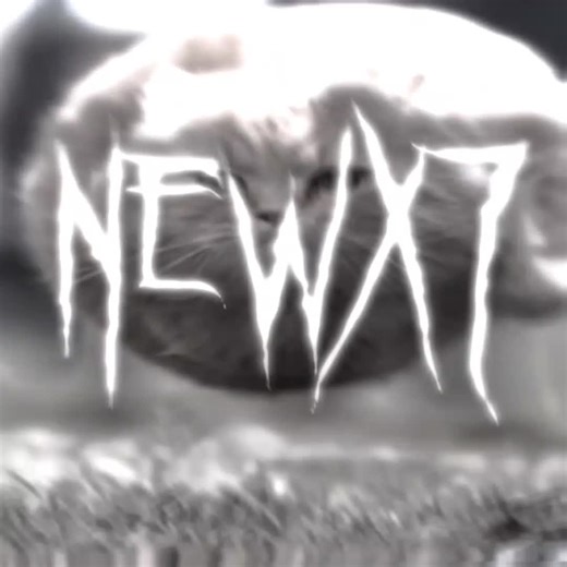 Flying Spinning Cat: A Viral Sensation