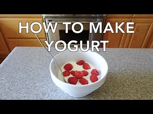 How to Make Yogurt at Home with 2 Ingredients