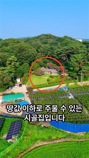 8,000만 원 폭락! 땅 값 이하로 줍는 500평 시골집 헐값처분