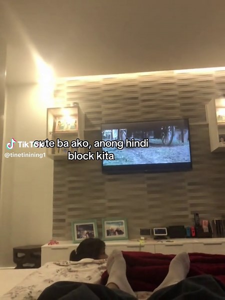 Dancing Cute Dog TikTok Videos