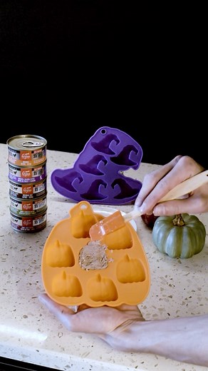 Make your cat a fun treat this spooky season with nourishing & delicious ORIJEN™ Wet Cat Food! | ORIJEN Dog and Cat Food