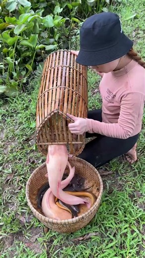 Survival fish trapping skills with chicken