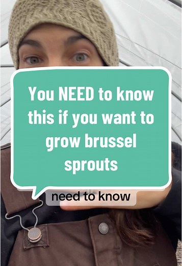 How to Grow Brussel Sprouts from Seed: Essential Steps