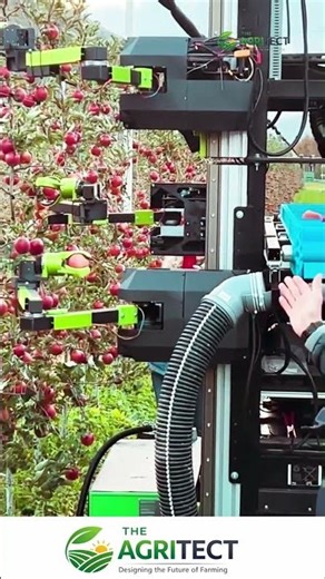 Revolutionizing Agriculture: Robotic Apple Pickers in Action