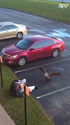 Crazy co-workers, am I right?🤣