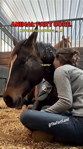 The luckiest horse😂 #funny #shorts #humor #funnymoment #prank