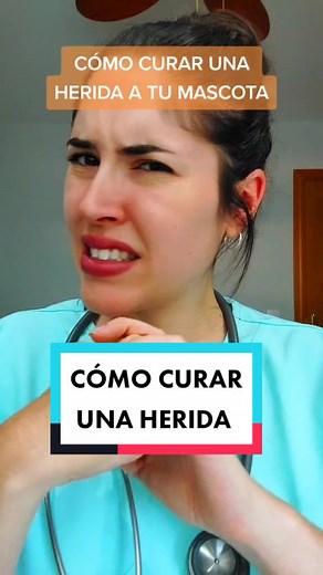 Cómo curar una herida a tu mascota: Guía completa