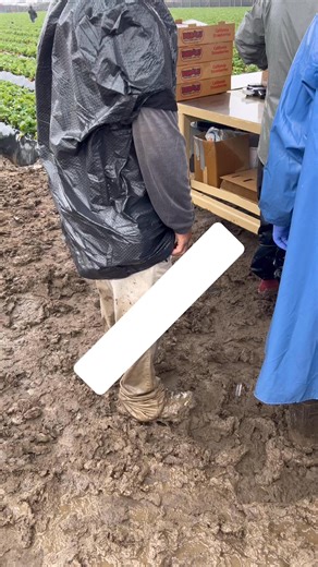 Todos tenemos un compa que le vale si llueva truene el siempre al 100 | El compa Mike