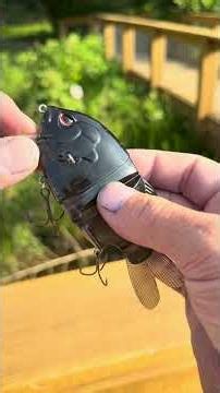 Is the OSP Doran 127 the best Blue Gill Swimbait- Crazy hybrid JDM bait catches big bass