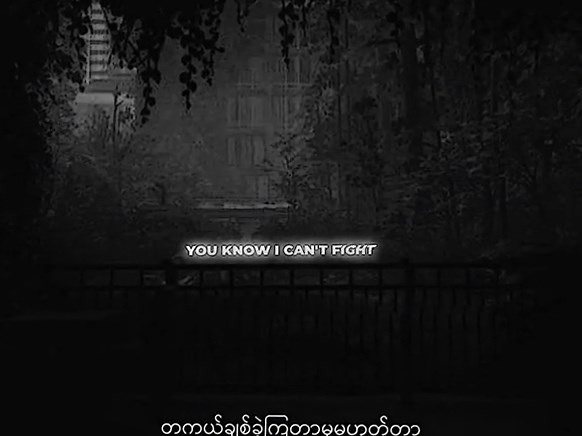 maxx 2009: Celebrating a Year of Excitement