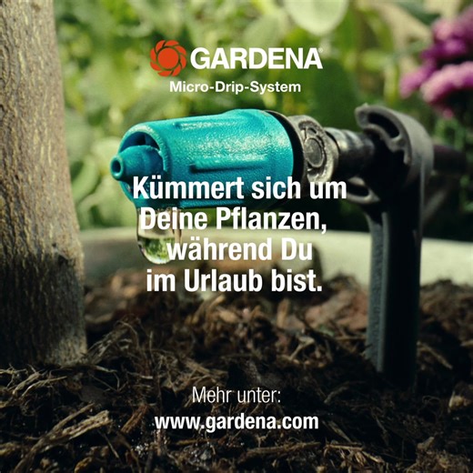 Kümmert sich um Deine Pflanzen, während Du im Urlaub bist *. *Automatische Bewässerung in Verbindung mit einer Bewässerungssteuerung von GARDENA. | GARDENA | Facebook