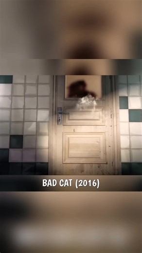 Cartoon Lovers Recap: A Burmese Perspective