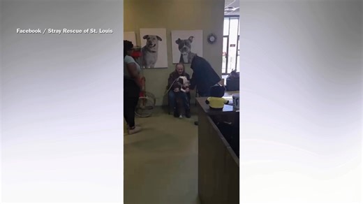 Hearts melt as dog is visited by future adopter