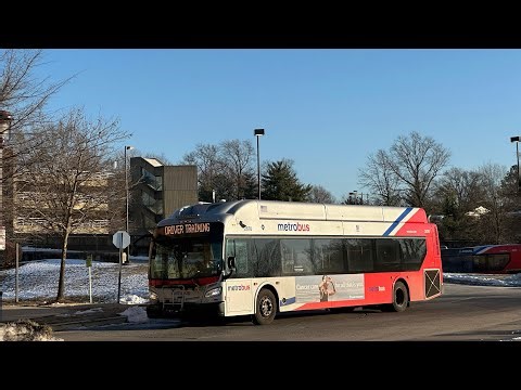 WMATA and Prince George's County Transit TheBus Compilation at Hyattsville Crossing January 2025 #2