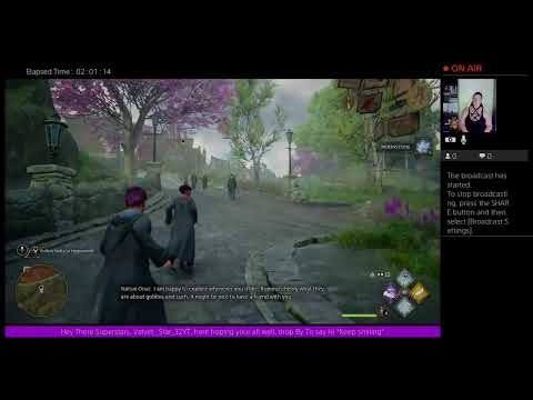 Hogwarts legacy - Ravenclaw Student Velvet _Star_32YT