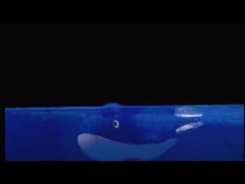 whale song animal from baby noah