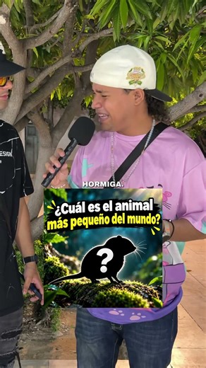 ¿Cuál es el animal más pequeño del mundo? #viral #animal
