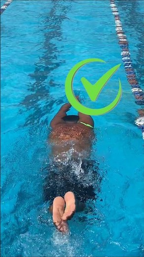 Perfect Butterfly Swimming Technique – Master the Dolphin Kick for More Speed