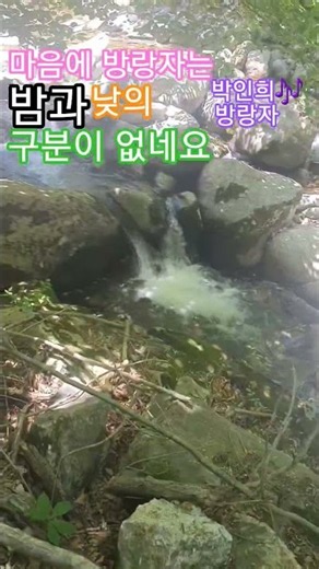한곳에 마음을 두지 않고 끓임없이 새로움을 찾는 방랑자와는 다른 박인희님의 방랑자~