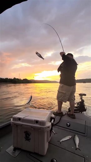 bait fishing! #easycat #trend #skipjack #viral #fb #reel #seaarkboats | The catfishing duo