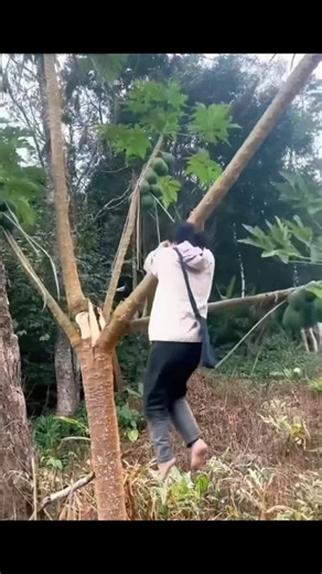 The Funniest Fails of the Week 😭😂