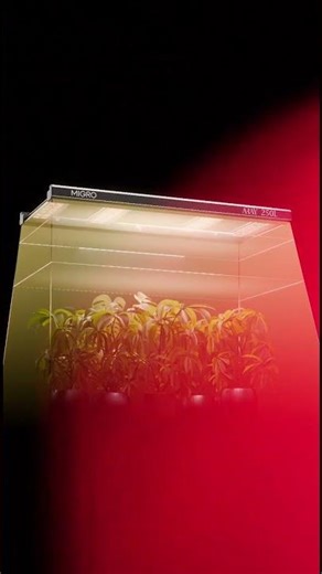 Ultimate 2x4 LED grow lamp