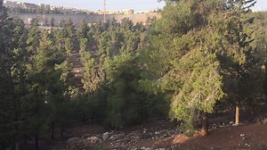 Shabbat in its essence is a state of mind! Rabbi Doniel Katz teaches us how to enter into a Shabbat of disconnection and re-connection with three inspirational tools | The Shabbos Project