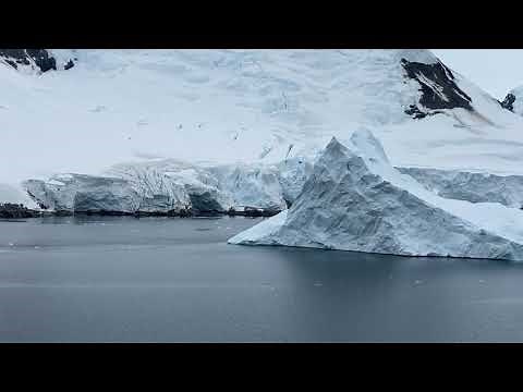 Biophysical processes explained