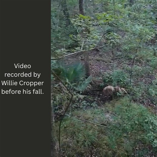 41K views · 111 reactions | Before the fall… This video, shared by...