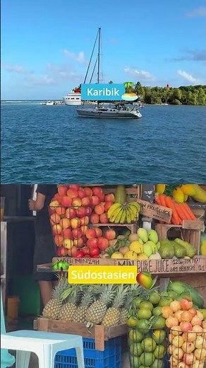 Die Qual der Wahl: Wofür entscheidest du dich? 👀🌴 #aidacruises #aidamomente