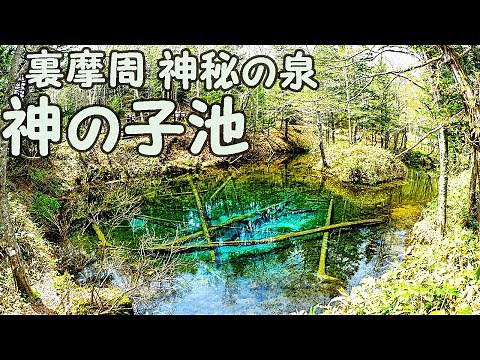 神の子池 裏摩周 神秘の泉 『北海道・清里町』