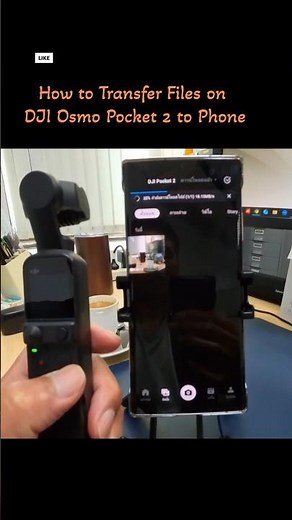 How to Transfer Files on DJI Osmo Pocket 2 to Phone #DJI #Transfer Files #shorts