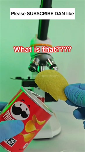 let's see what's inside. #microscope #howto #education #diy #pringles #fyp #usa