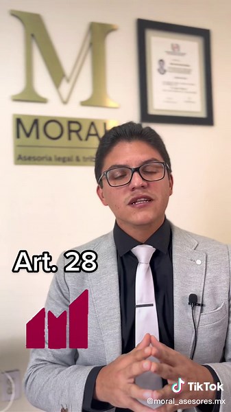 Artículo 28: Derecho a la Libre Concurrencia y Competencia en México