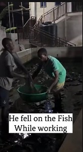 10K views · 61 reactions | Inside Fish Tank ! Inside Life #fish #followers #highlights | First Fish Academy | Facebook