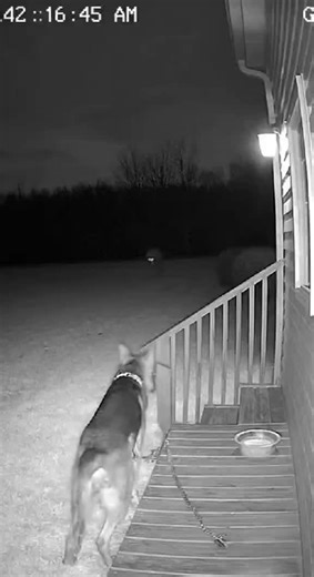 CCTV Horror Footage: Scary Night Encounters